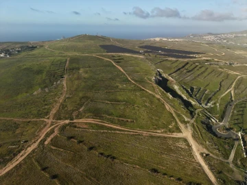Terreno para Venda em Porto Santo