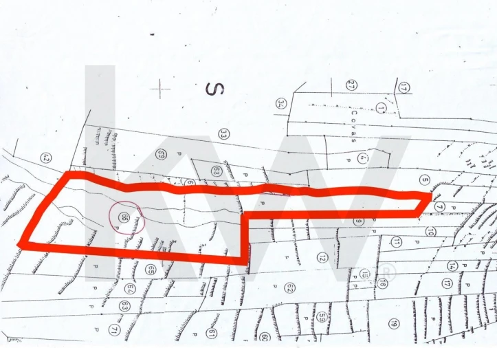 Terreno para Venda em Porto Santo Foto 15
