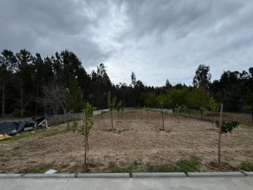 Moradia T3 para Venda em Avelal