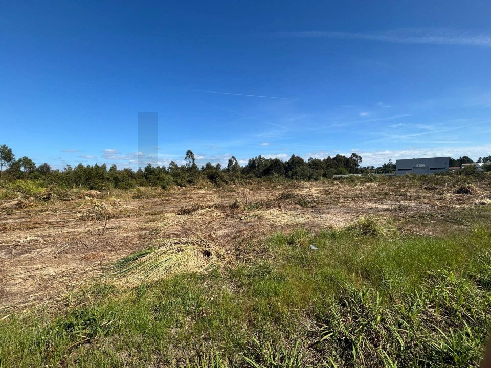 Terreno para Venda em Vagos e Santo António Foto 10