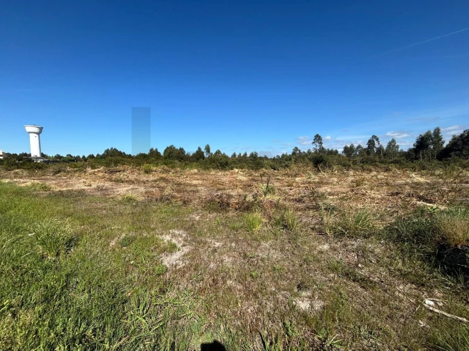 Terreno para Venda em Vagos e Santo António Foto 9