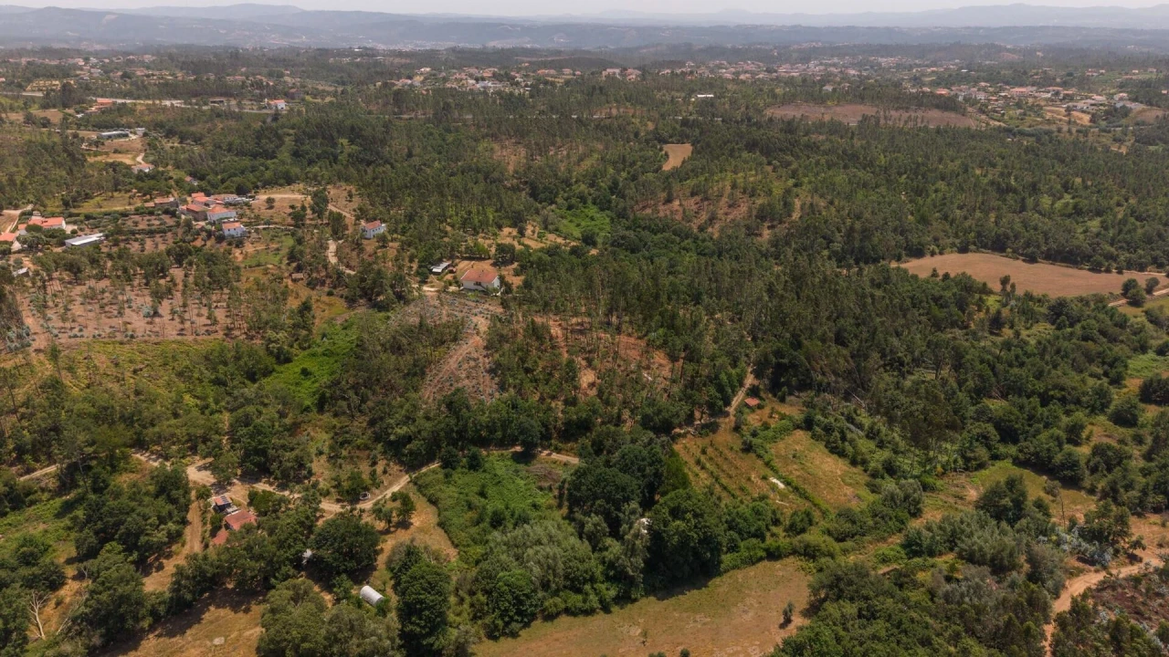 Terreno para Venda em Cabeçudo Foto 4