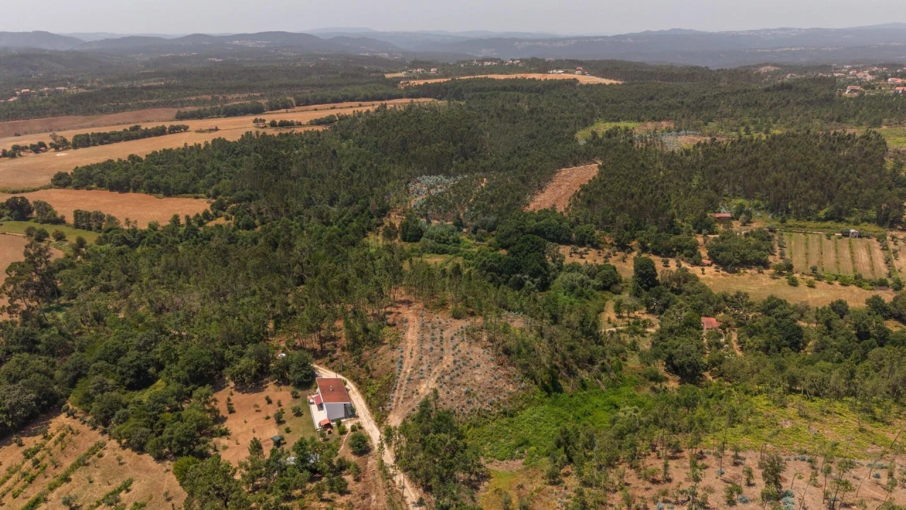 Terreno para Venda em Cabeçudo Foto 6