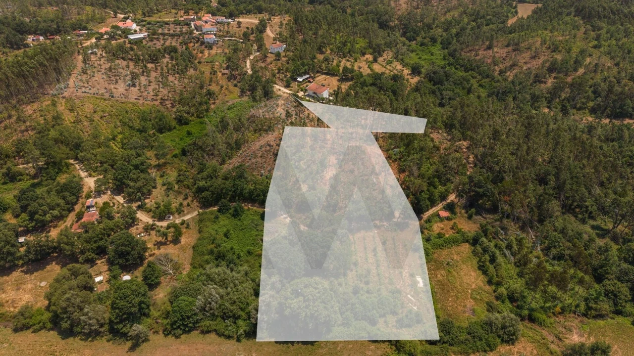 Terreno para Venda em Cabeçudo Foto 7