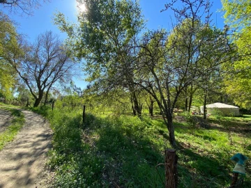 Terreno para Venda em Cabeçudo