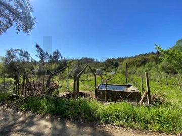 Terreno para Venda em Cabeçudo