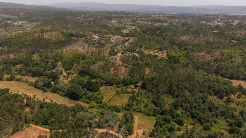 Terreno para Venda em Cabeçudo