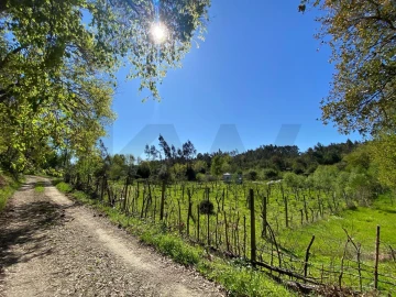Terreno para Venda em Cabeçudo