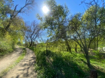 Terreno para Venda em Cabeçudo