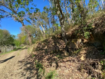 Terreno para Venda em Cabeçudo