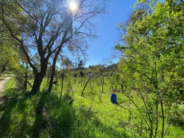 Terreno para Venda em Cabeçudo