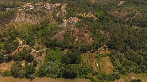Terreno para Venda em Cabeçudo