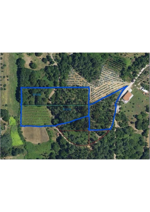 Terreno para Venda em Cabeçudo