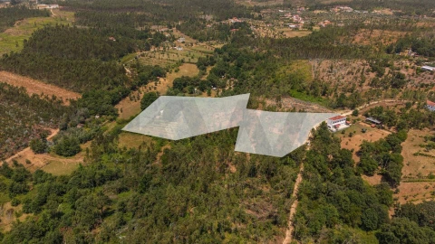 Terreno para Venda em Cabeçudo