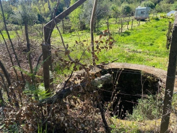 Terreno para Venda em Cabeçudo