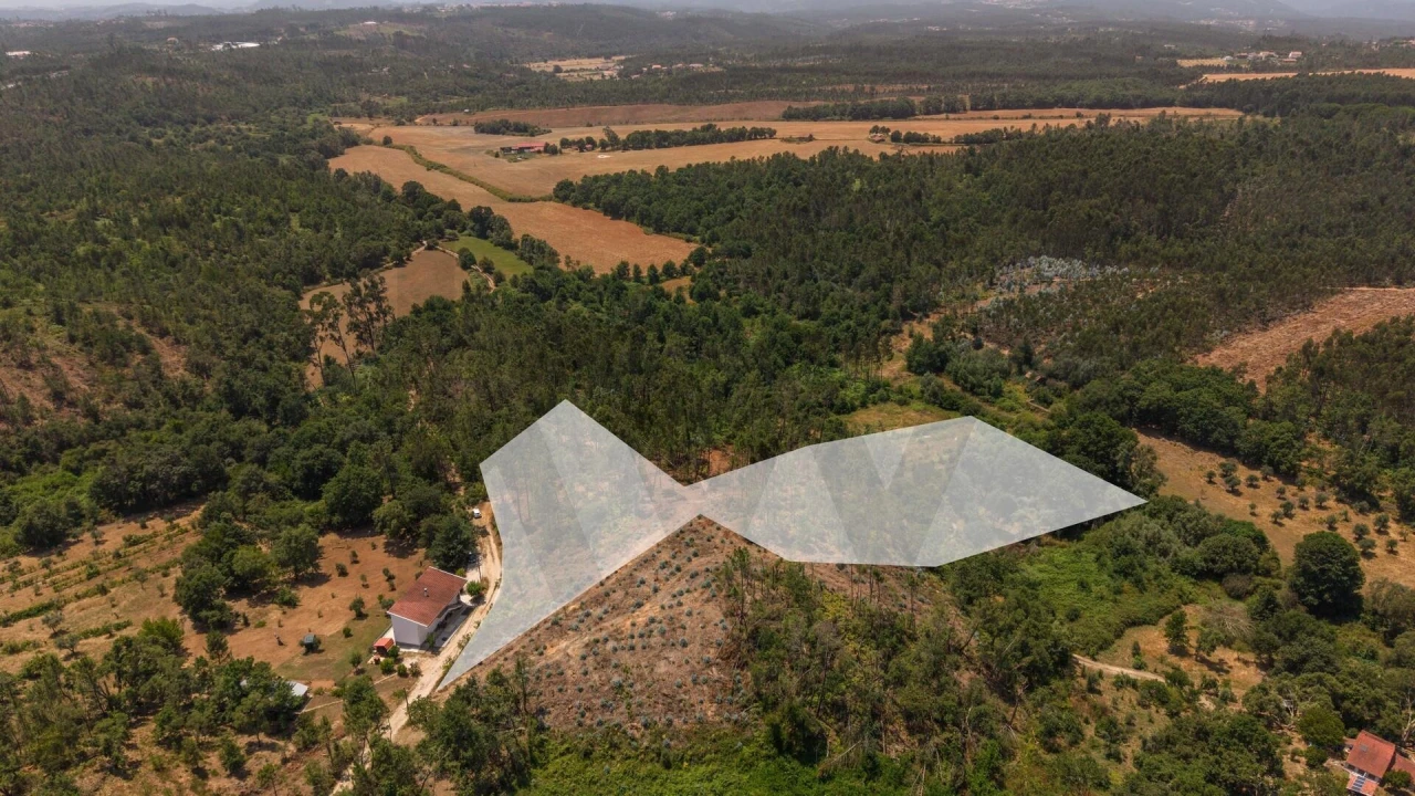 Terreno para Venda em Cabeçudo Foto 5