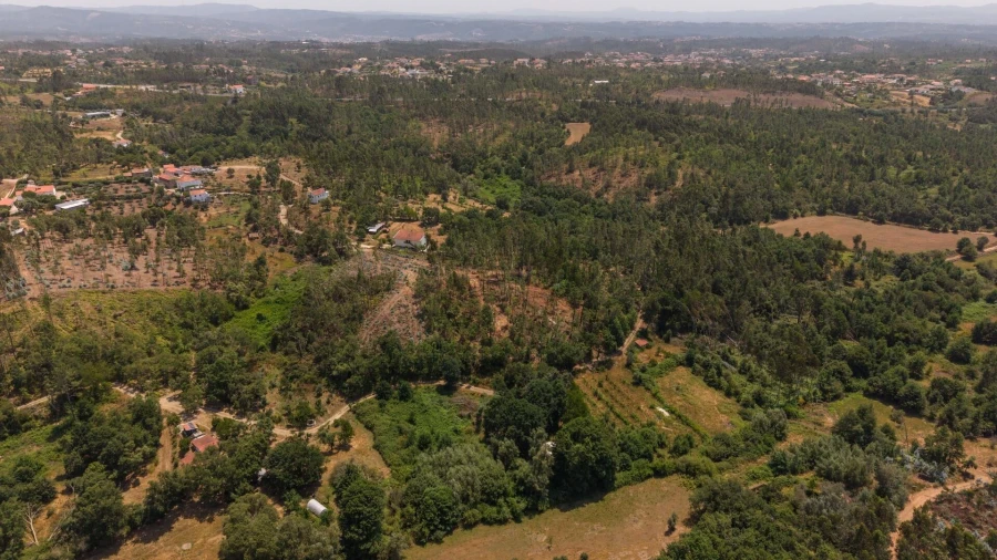 Terreno para Venda em Cabeçudo Foto 4