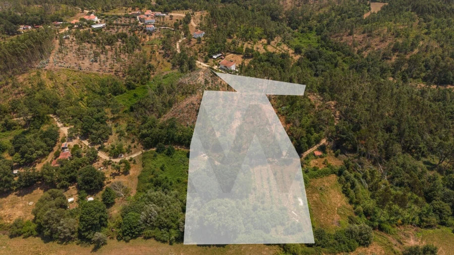 Terreno para Venda em Cabeçudo Foto 7