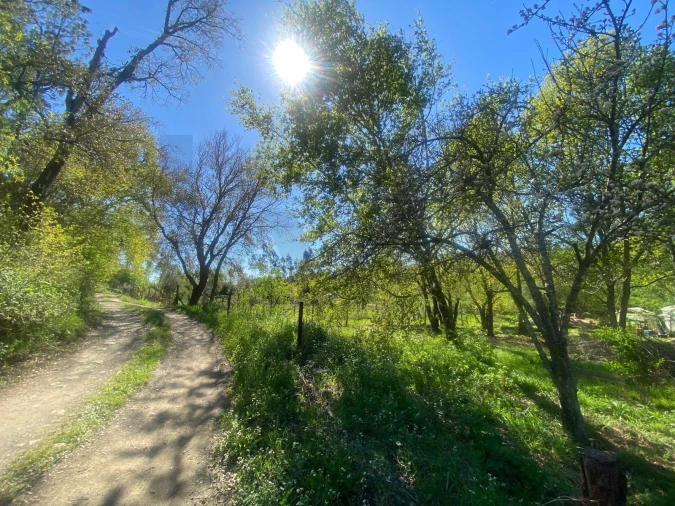 Terreno para Venda em Cabeçudo Foto 4
