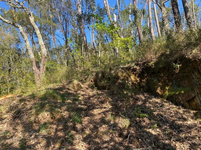 Terreno para Venda em Cabeçudo Foto 13