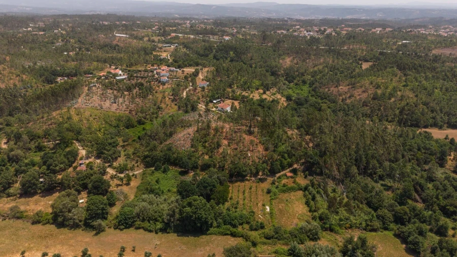 Terreno para Venda em Cabeçudo Foto 9