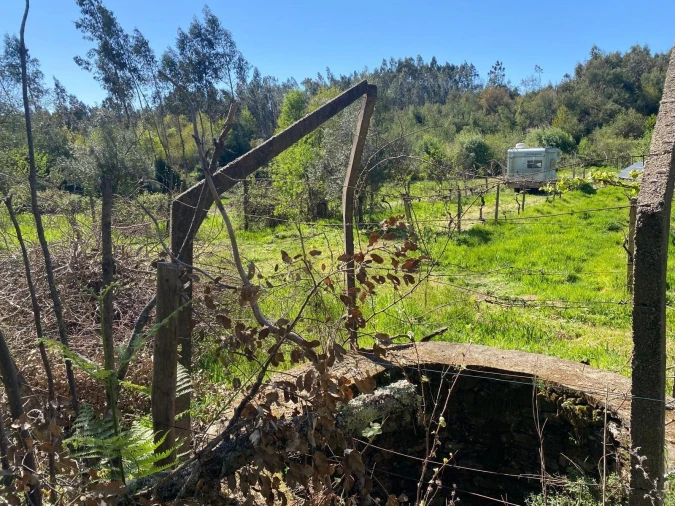 Terreno para Venda em Cabeçudo Foto 12