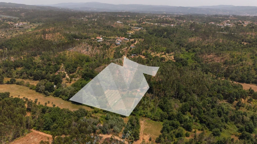Terreno para Venda em Cabeçudo Foto 3