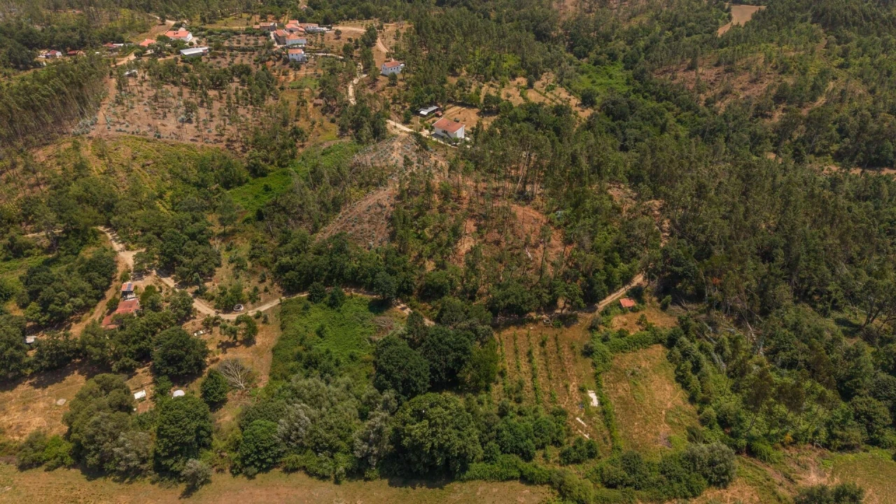 Terreno para Venda em Cabeçudo Foto 11