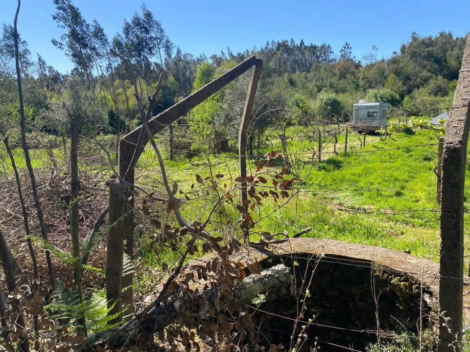 Terreno para Venda em Cabeçudo Foto 12