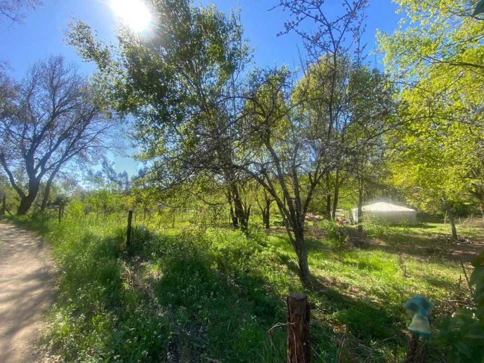 Terreno para Venda em Cabeçudo Foto 10