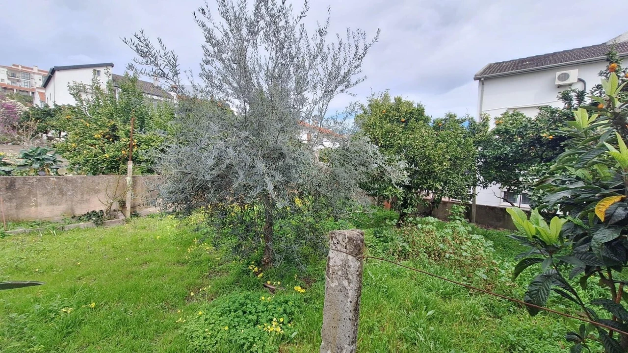 Moradia T2 para Venda em Idanha-A-Nova e Alcafozes Foto 21