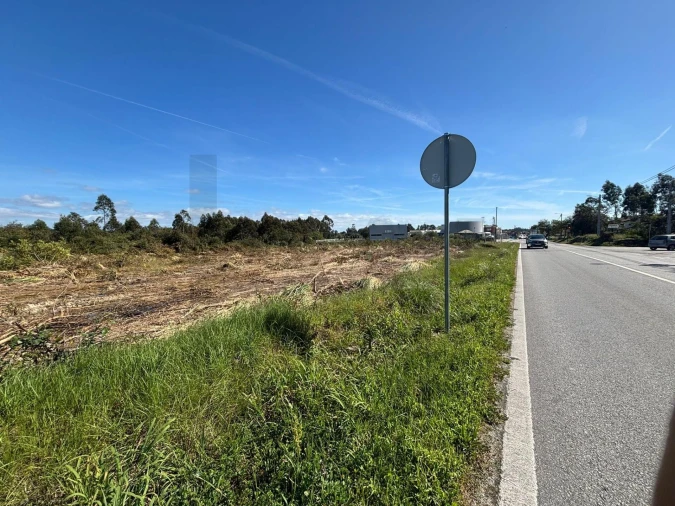 Terreno para Venda em Vagos e Santo António Foto 11