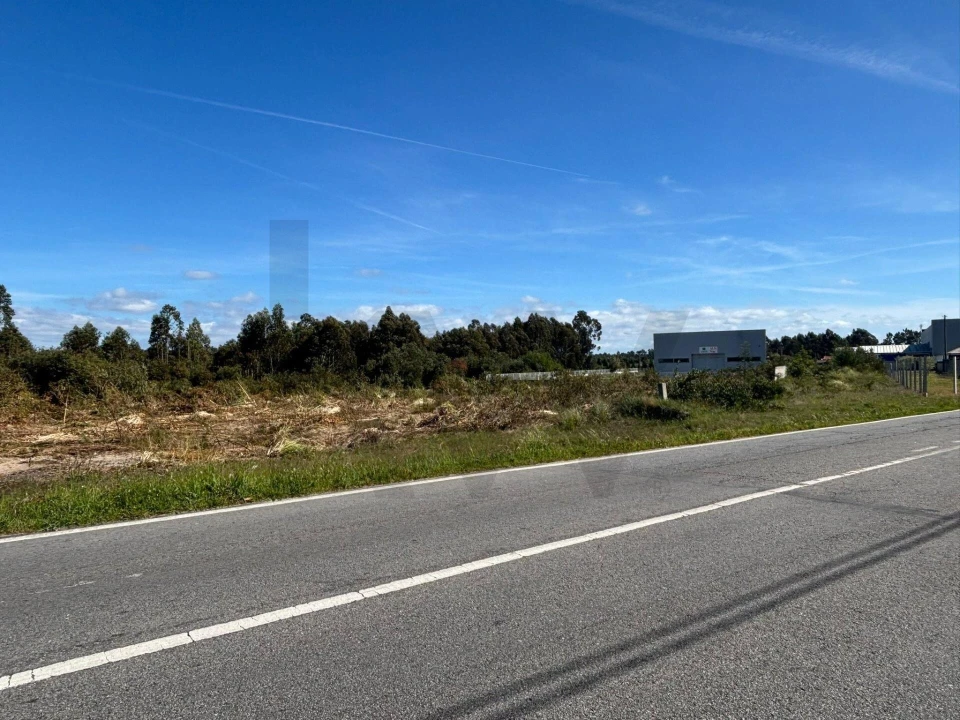 Terreno para Venda em Vagos e Santo António Foto 12