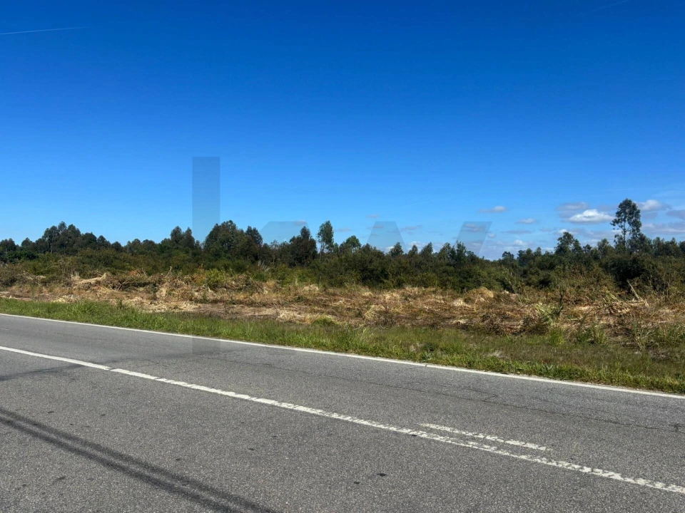 Terreno para Venda em Vagos e Santo António Foto 4