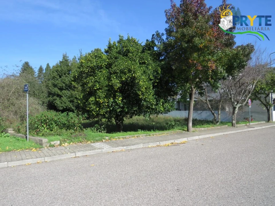 Terreno para Venda em Cernache do Bonjardim, Nesperal e Palhais Foto 1