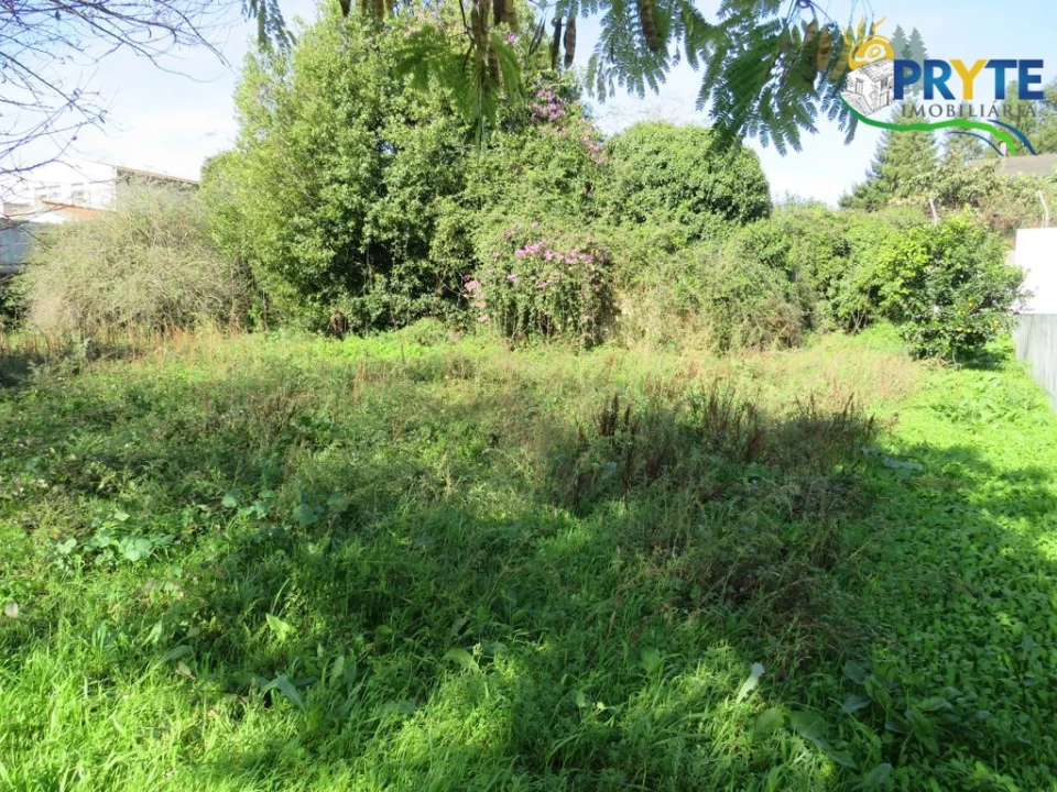 Terreno para Venda em Cernache do Bonjardim, Nesperal e Palhais Foto 4