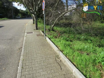 Terreno para Venda em Cernache do Bonjardim, Nesperal e Palhais