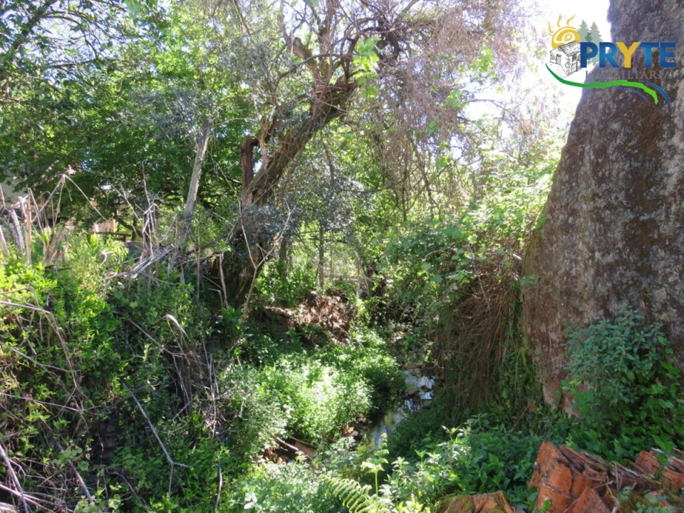 Moradia T2 para Venda em Proença-A-Nova e Peral Foto 38