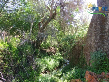 Moradia T2 para Venda em Proença-A-Nova e Peral