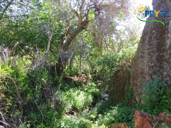 Moradia T2 para Venda em Proença-A-Nova e Peral Foto 38