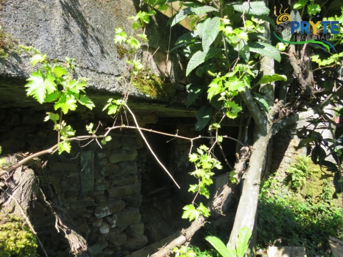 Moradia T2 para Venda em Proença-A-Nova e Peral Foto 39