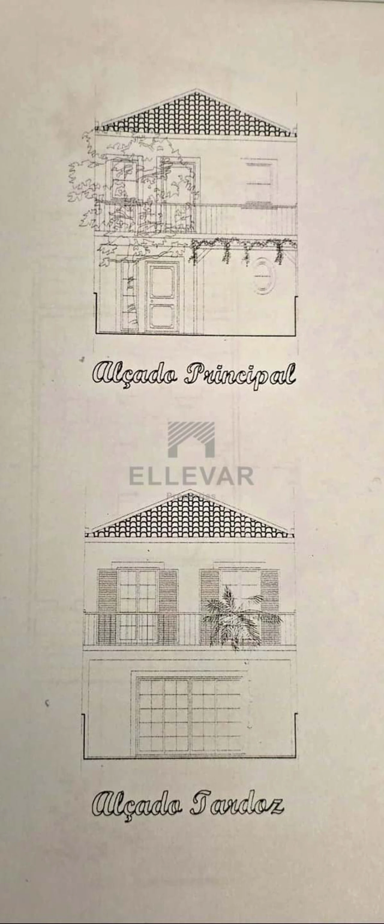 Terreno para Venda em Porto Santo Foto 4