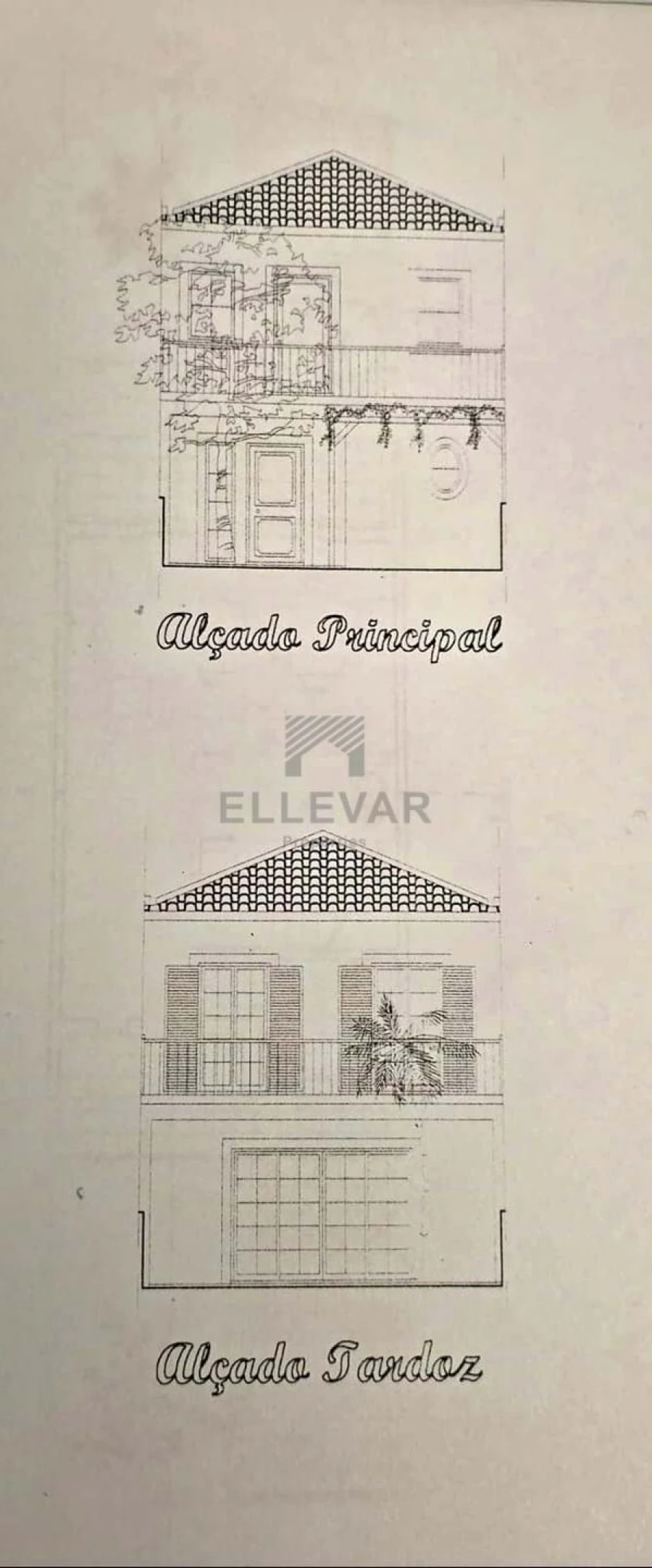 Terreno para Venda em Porto Santo Foto 4