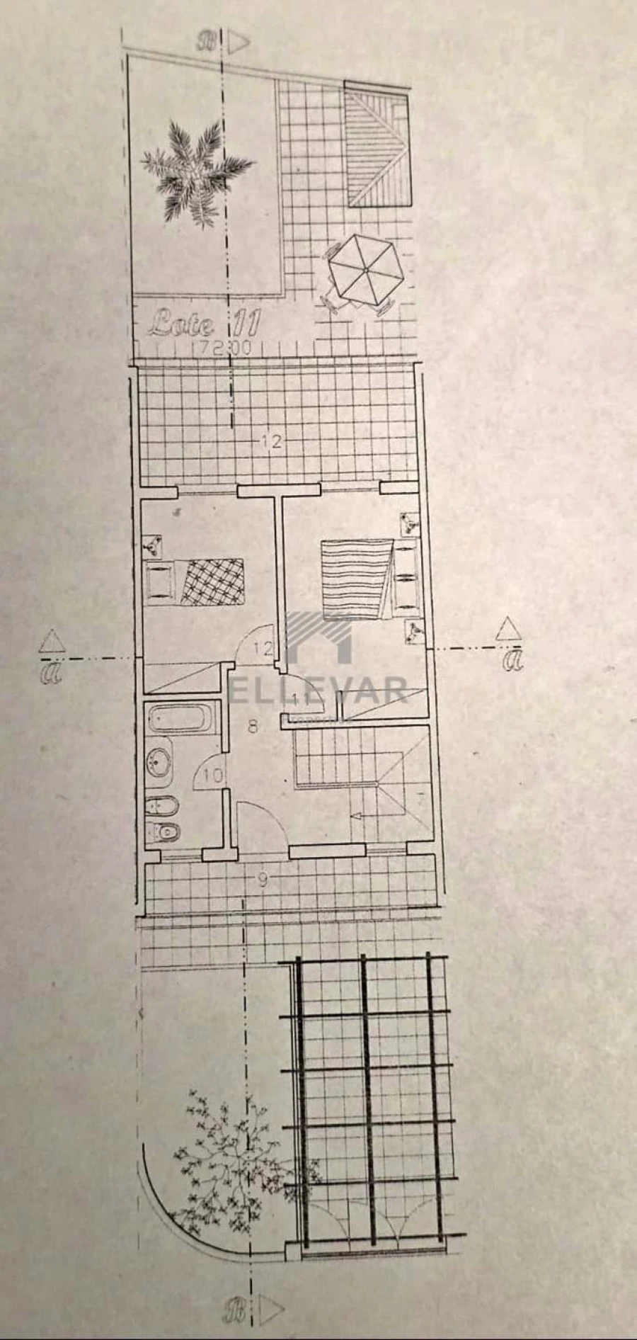 Terreno para Venda em Porto Santo Foto 6