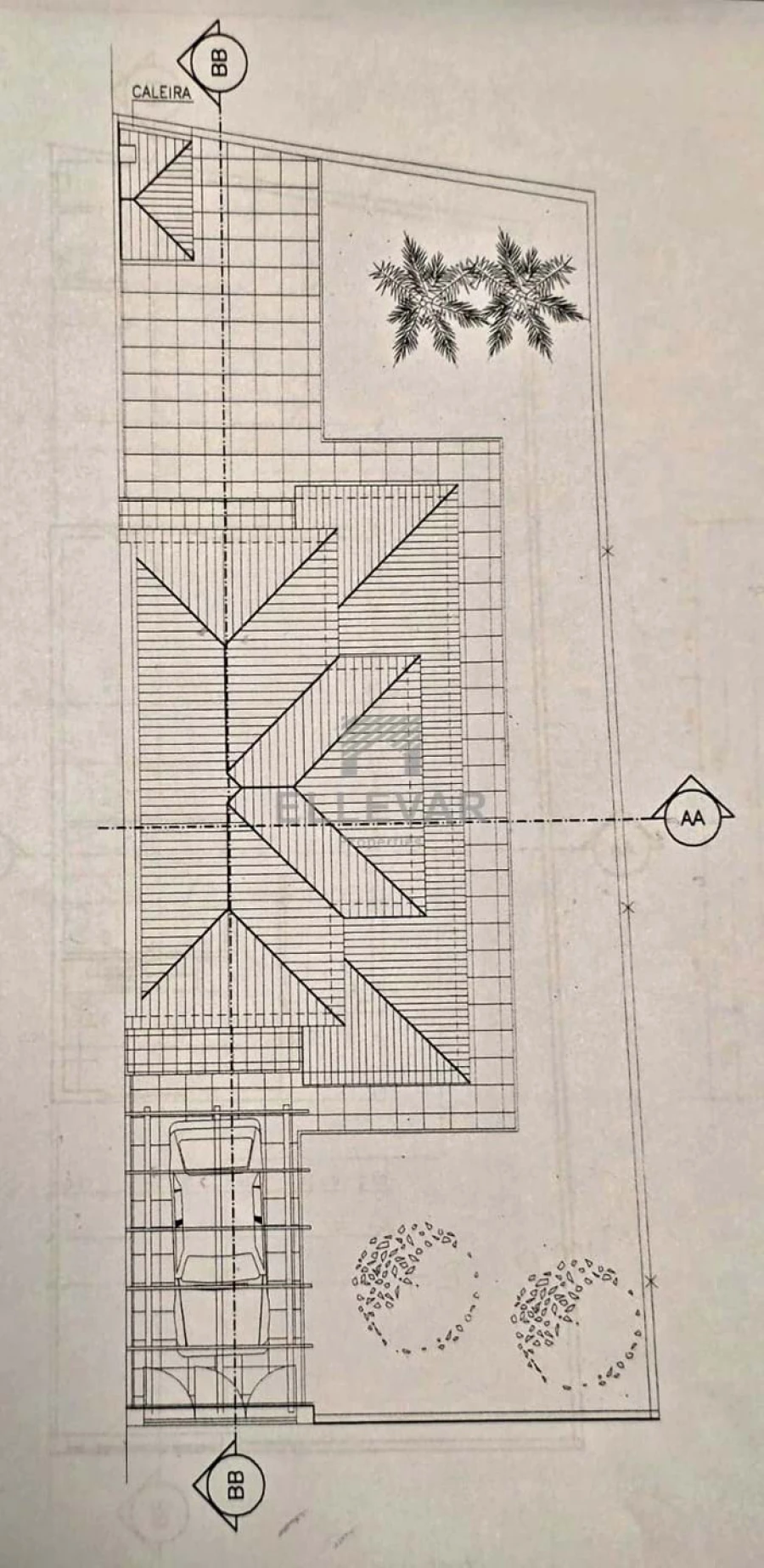 Terreno para Venda em Porto Santo Foto 5