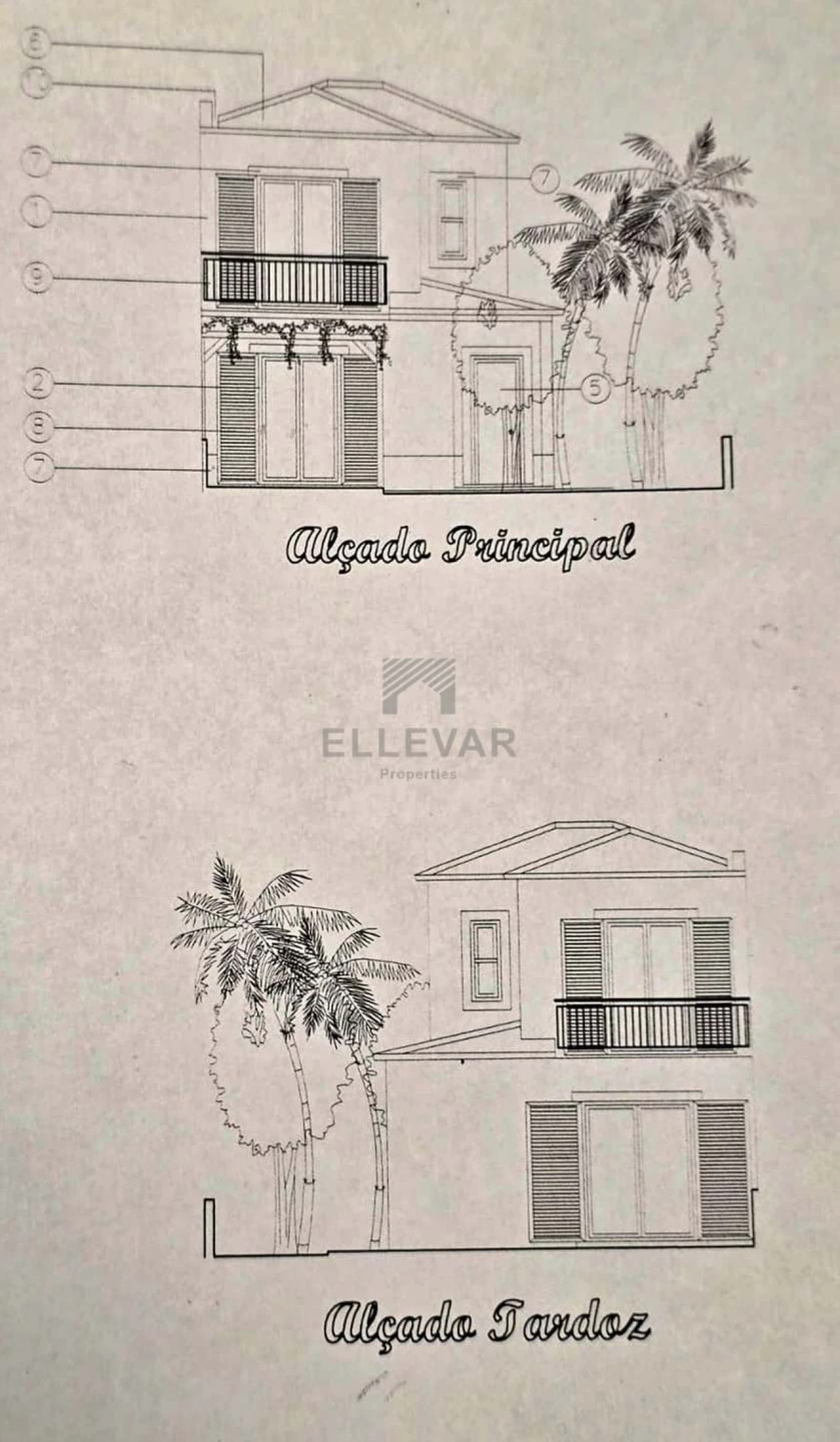 Terreno para Venda em Porto Santo Foto 4