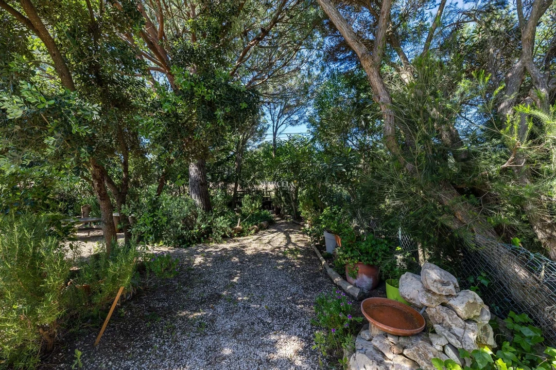 Moradia T3 para Venda em Aljezur Foto 43