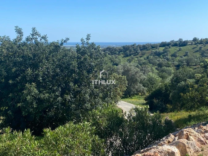 Moradia T4 para Venda em Santa Catarina da Fonte do Bispo Foto 7