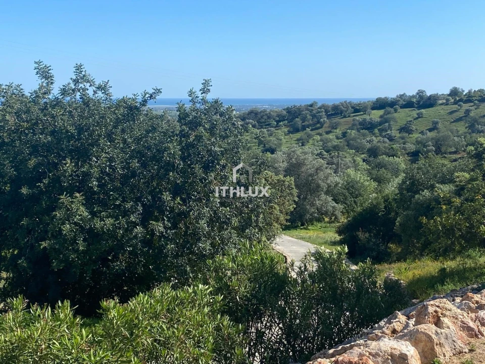 Moradia T4 para Venda em Santa Catarina da Fonte do Bispo Foto 7