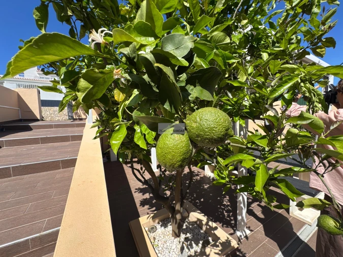 Moradia T4 para Venda em Lagos (São Sebastião e Santa Maria) Foto 10